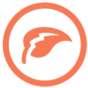 Caldera - Energy Efficient